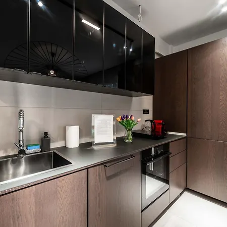 公寓 High-end & Penthouse With Terrace 布加勒斯特